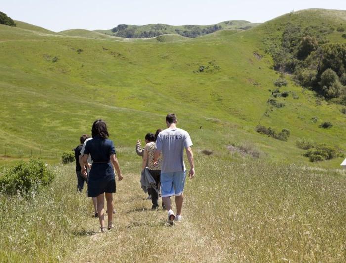 People taking a walk in green hills